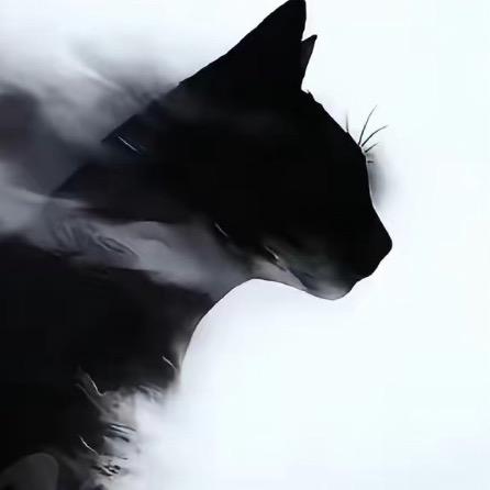 富五县.（c1c2，DE）