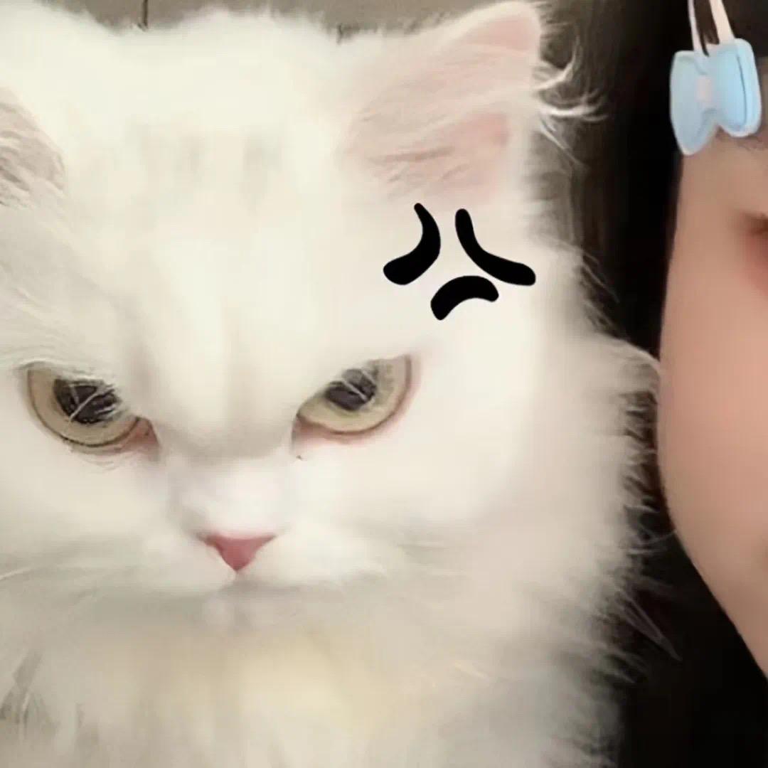 邓徒子