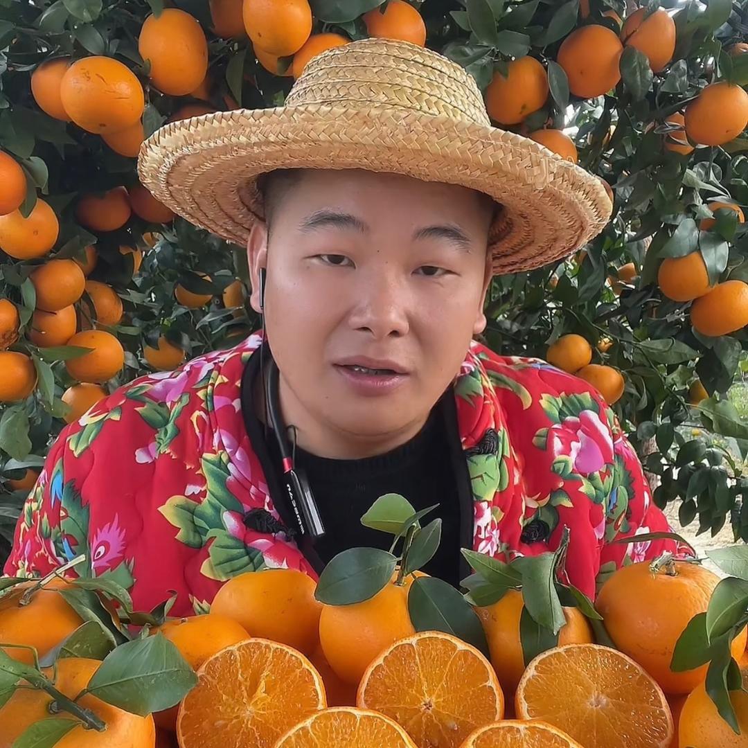 蔬东坡鲜果