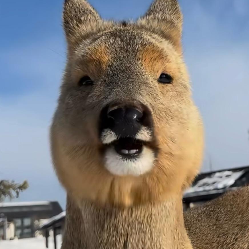 老子与海