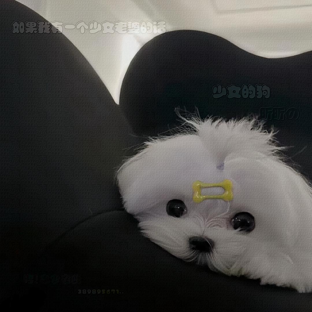 冷清