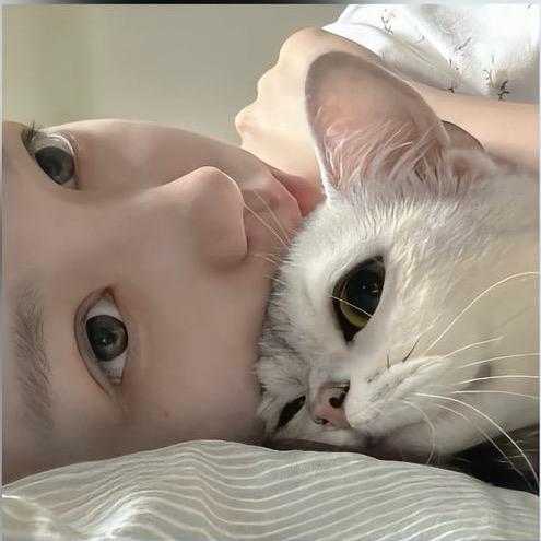 今天不吃晚饭了