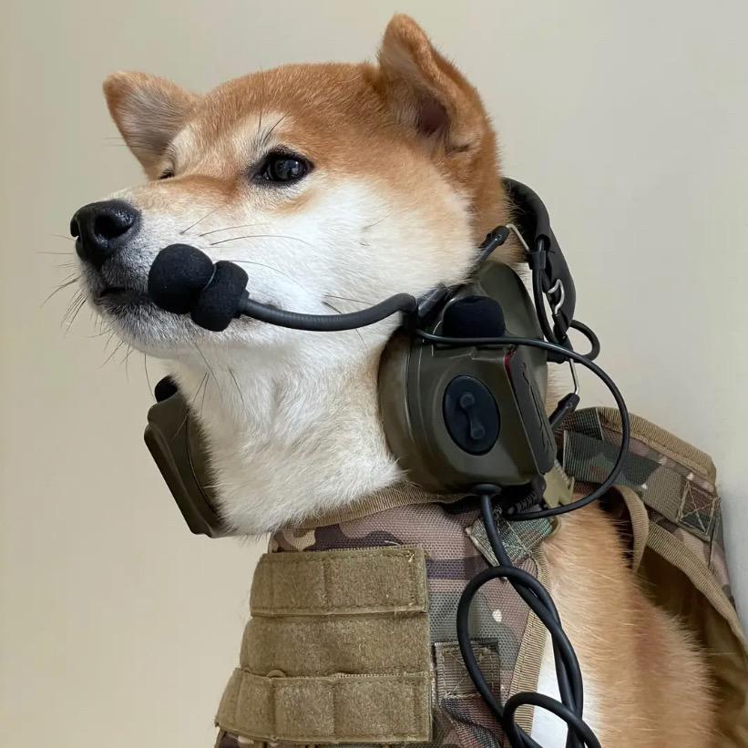 啊小权儿