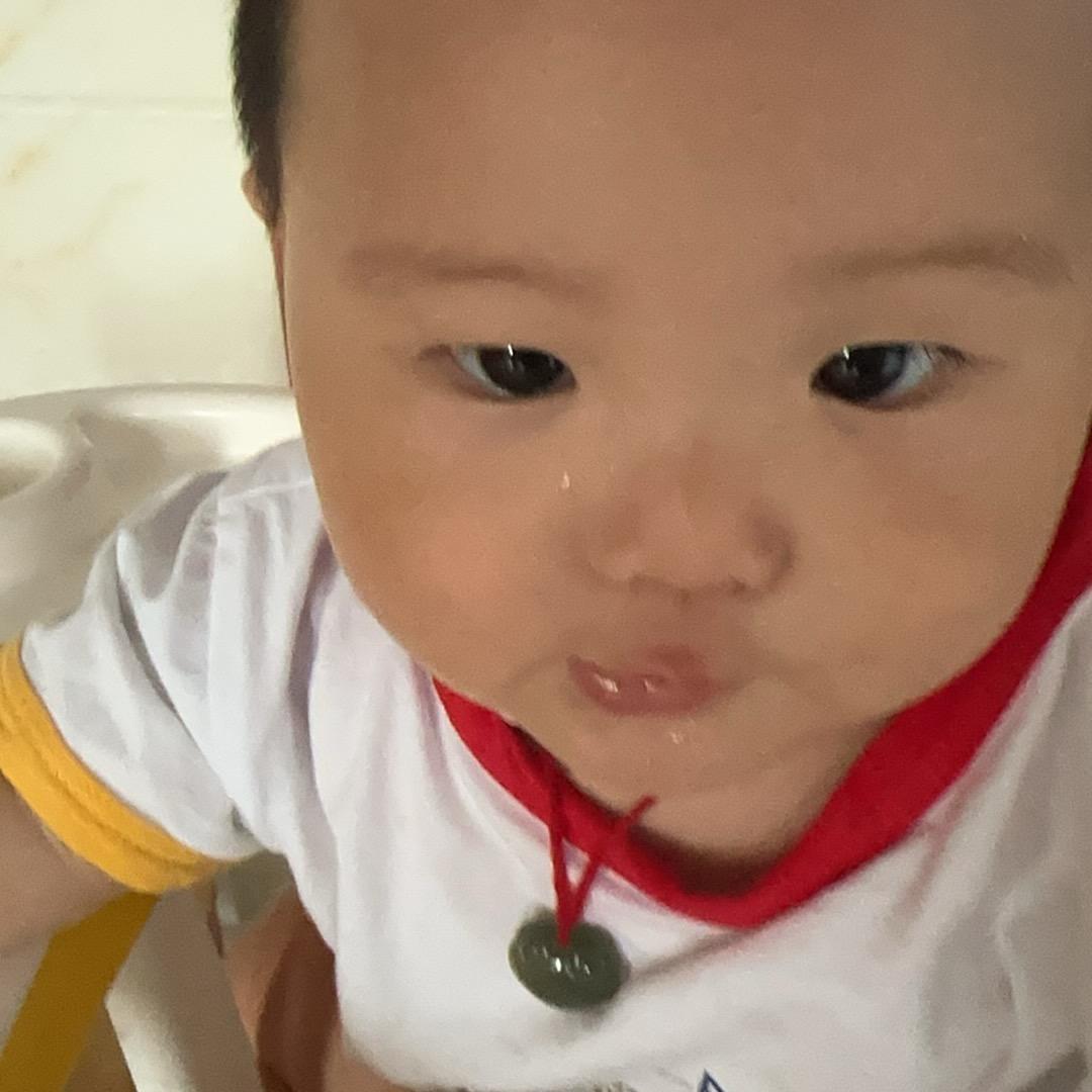 山鸟与鱼