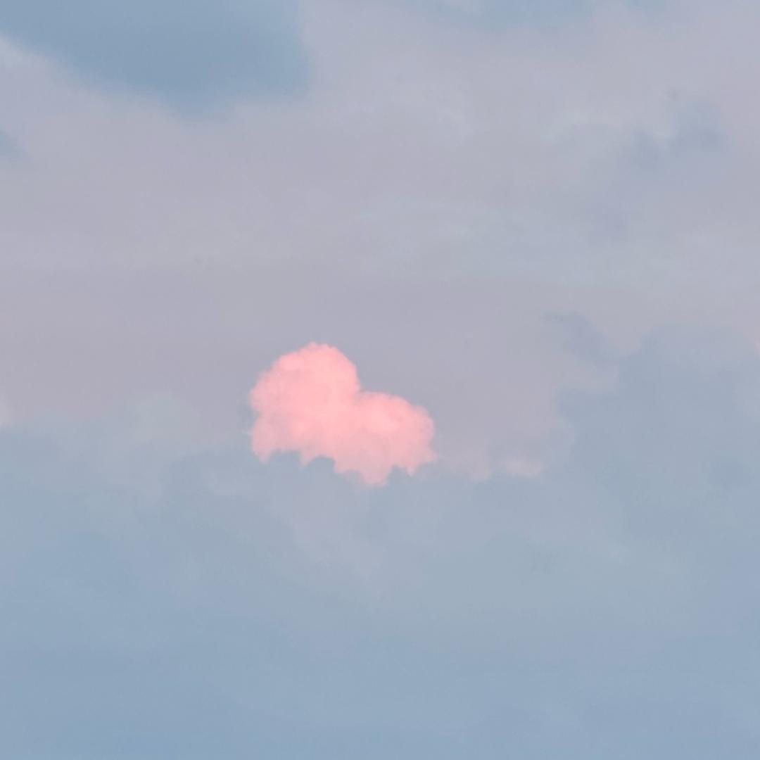 吃不吃橘子🍊橙子🍊