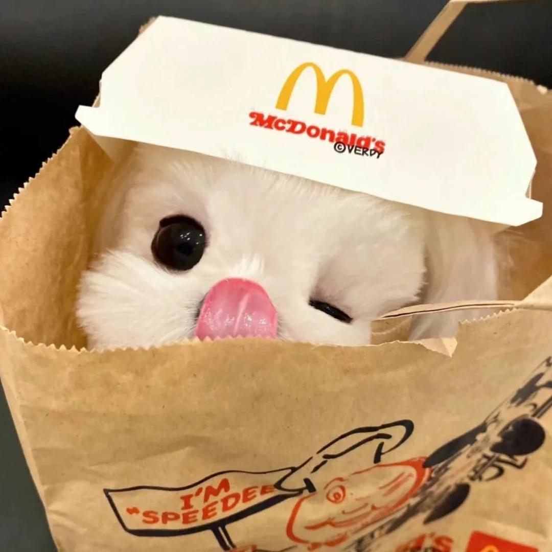 ….