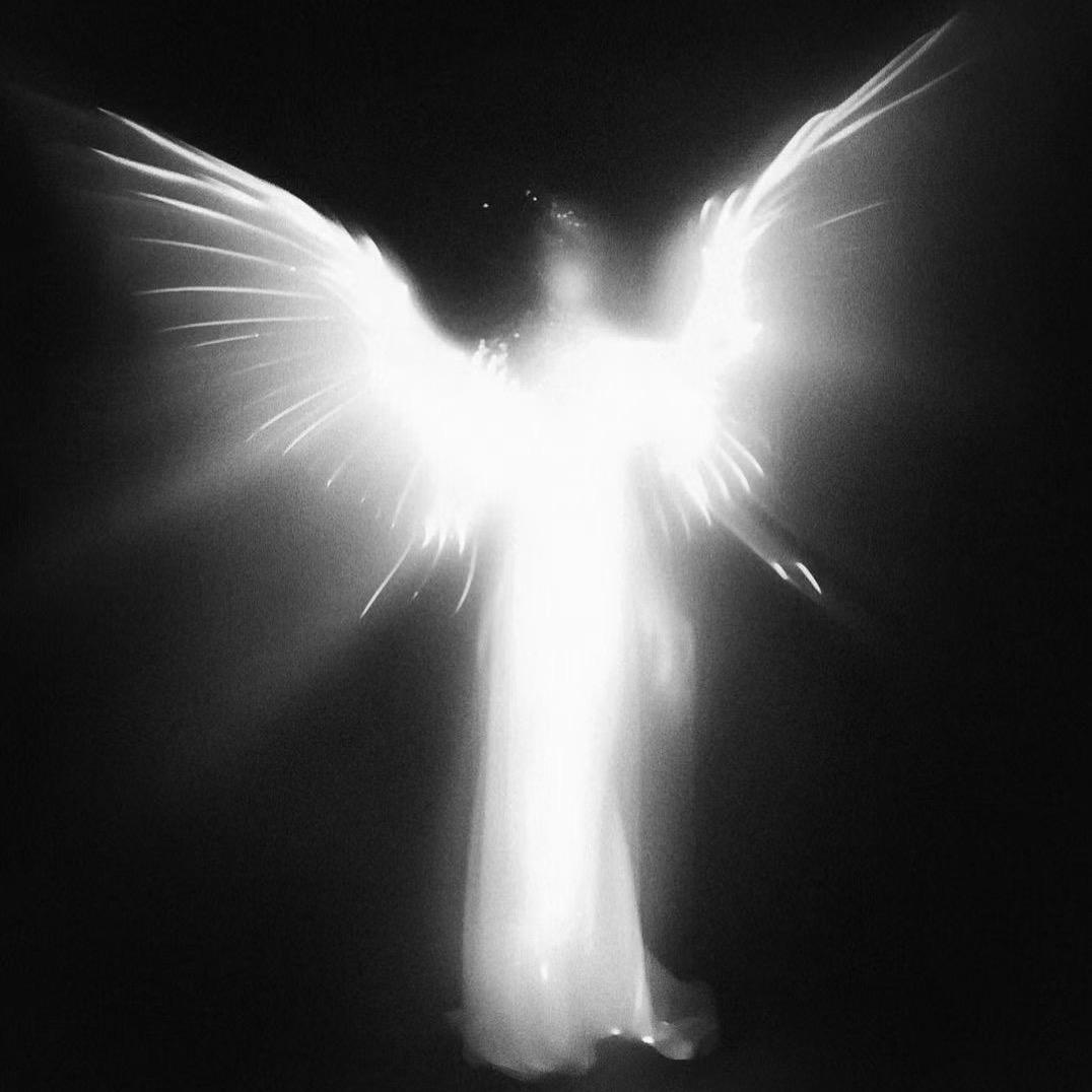 黄牛先生官方号