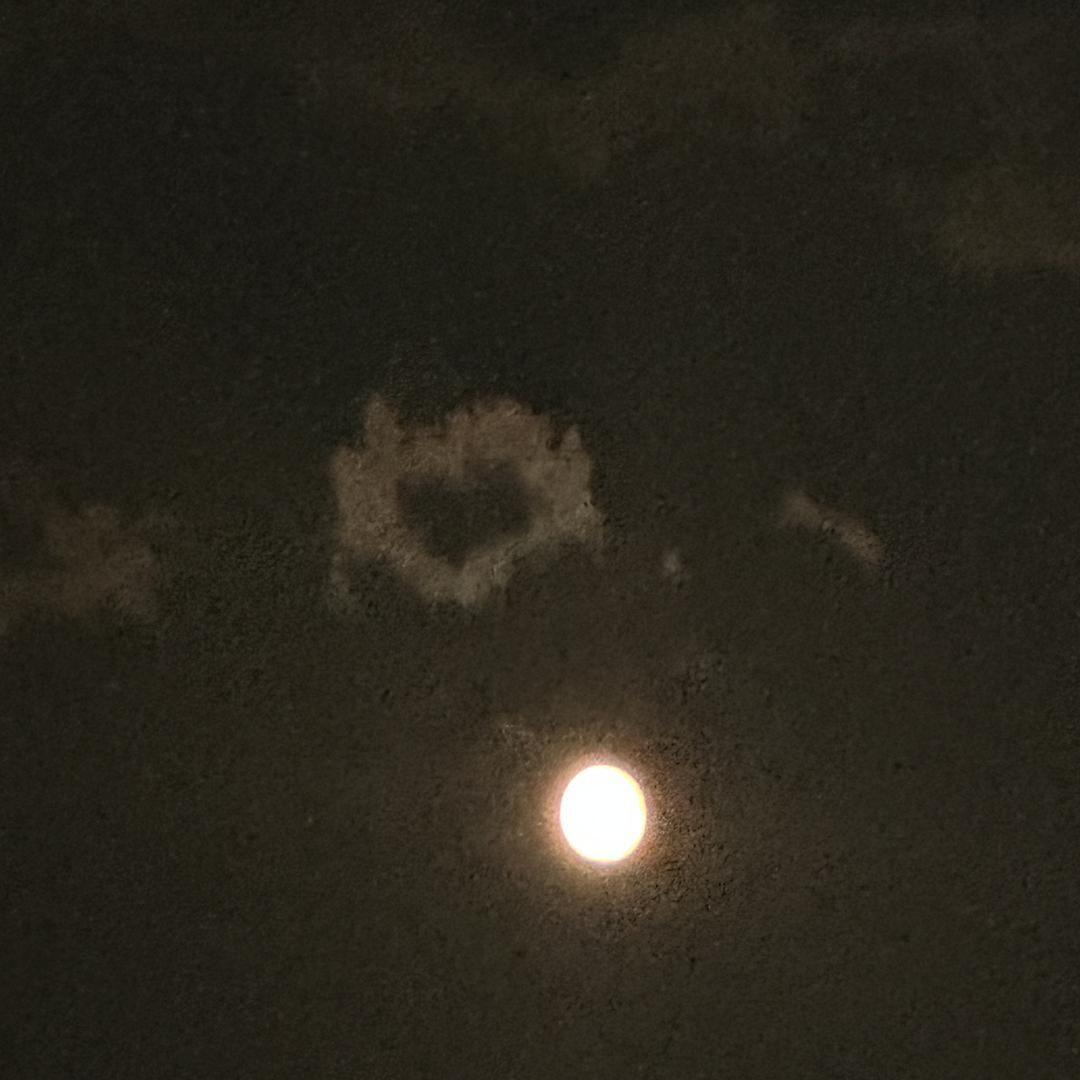 94197122516