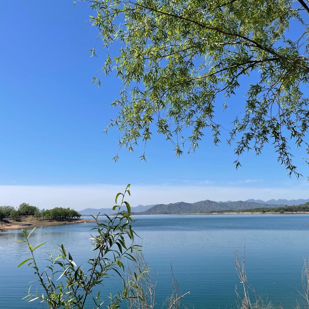 方旭半岛露营基地