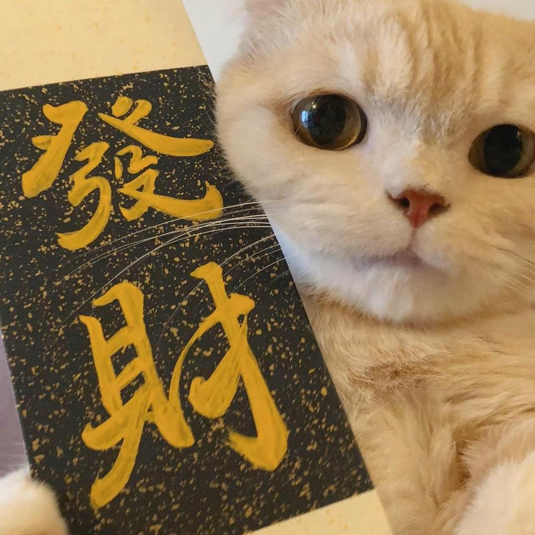 郁闷的炒饭