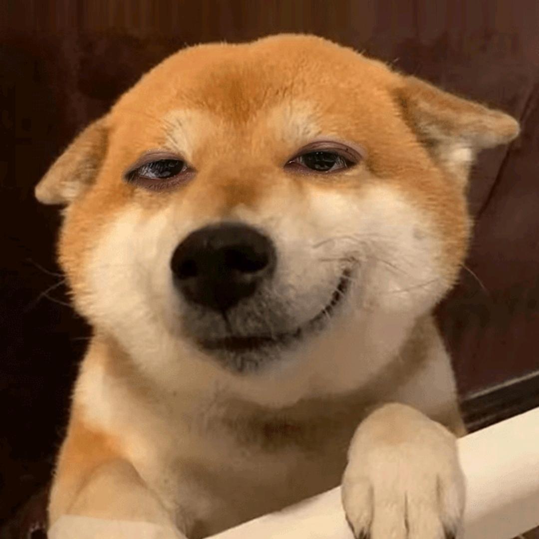 韶光易逝