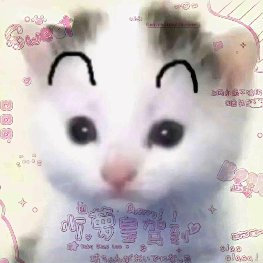 胡言乱玉