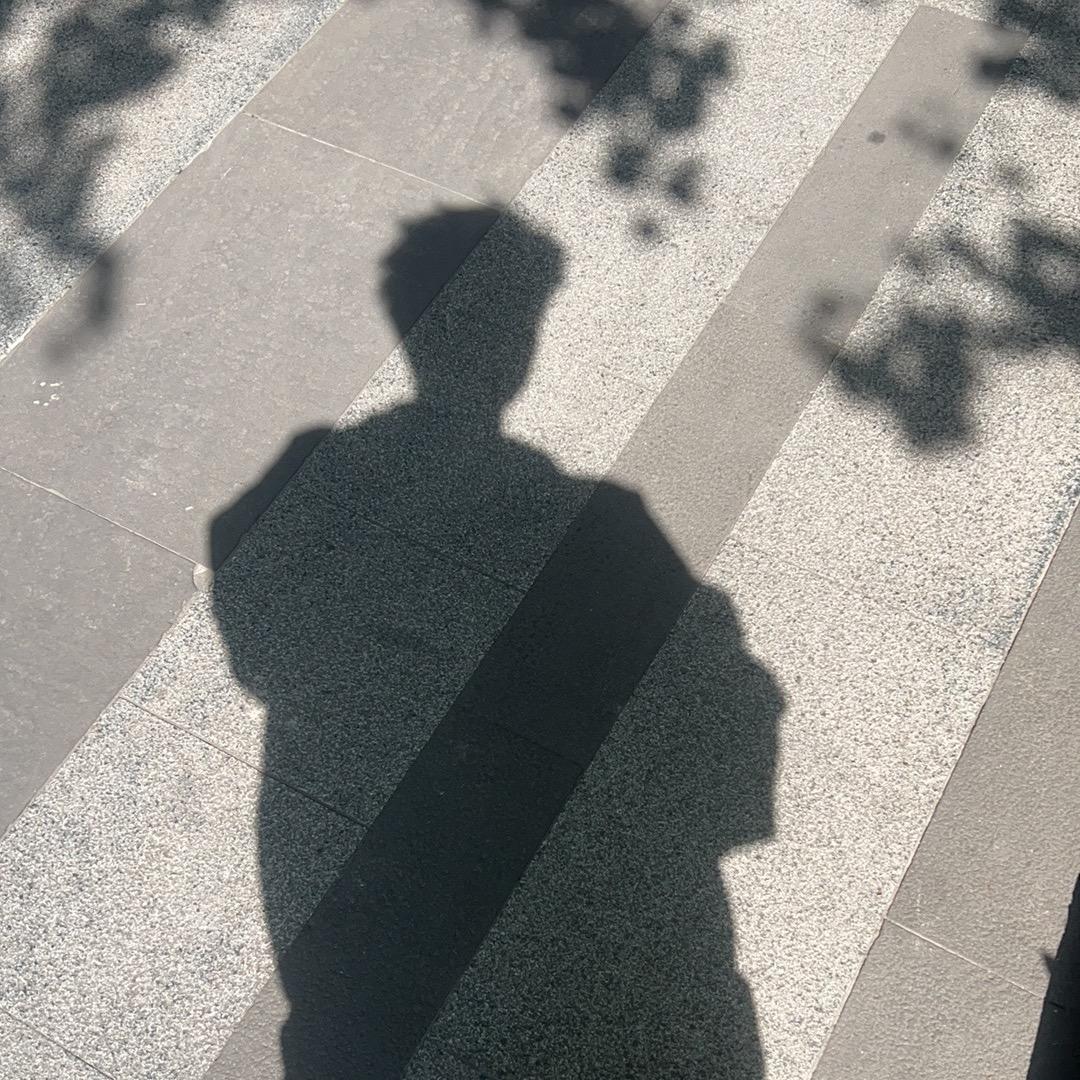🦁红烧狮子头