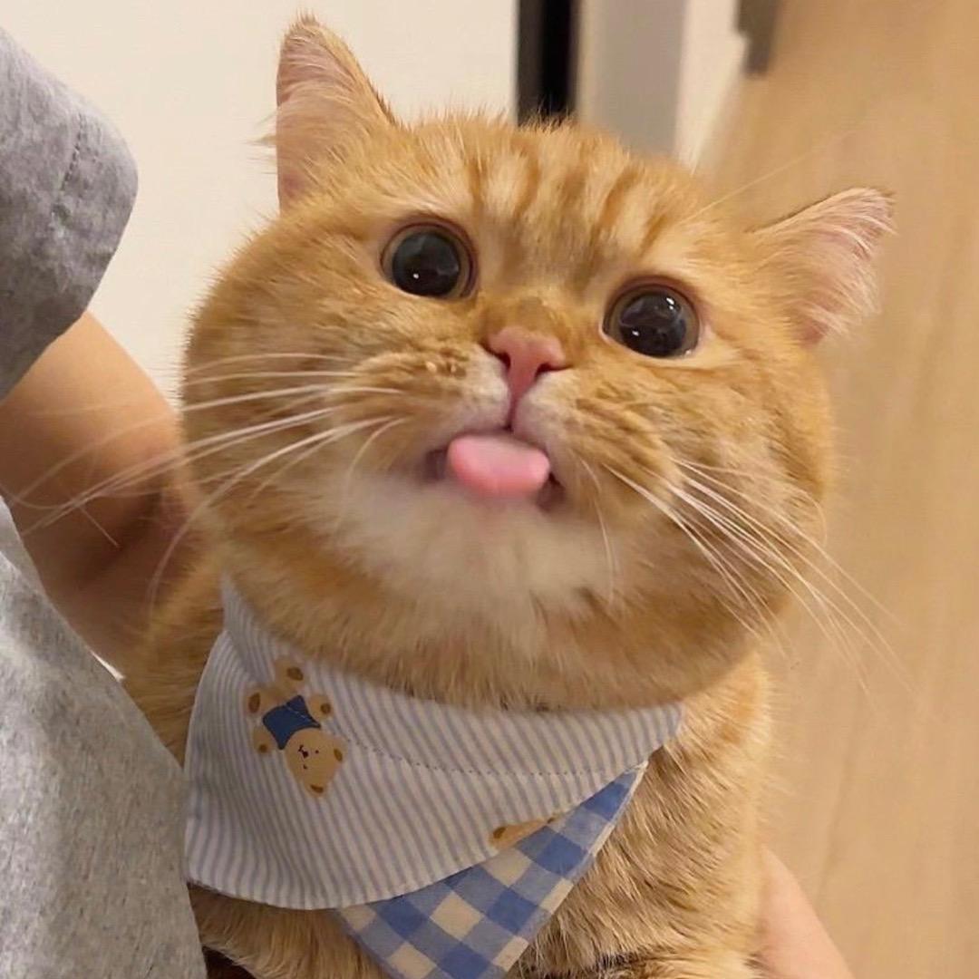 龘靐齉爨魑鼐䨥