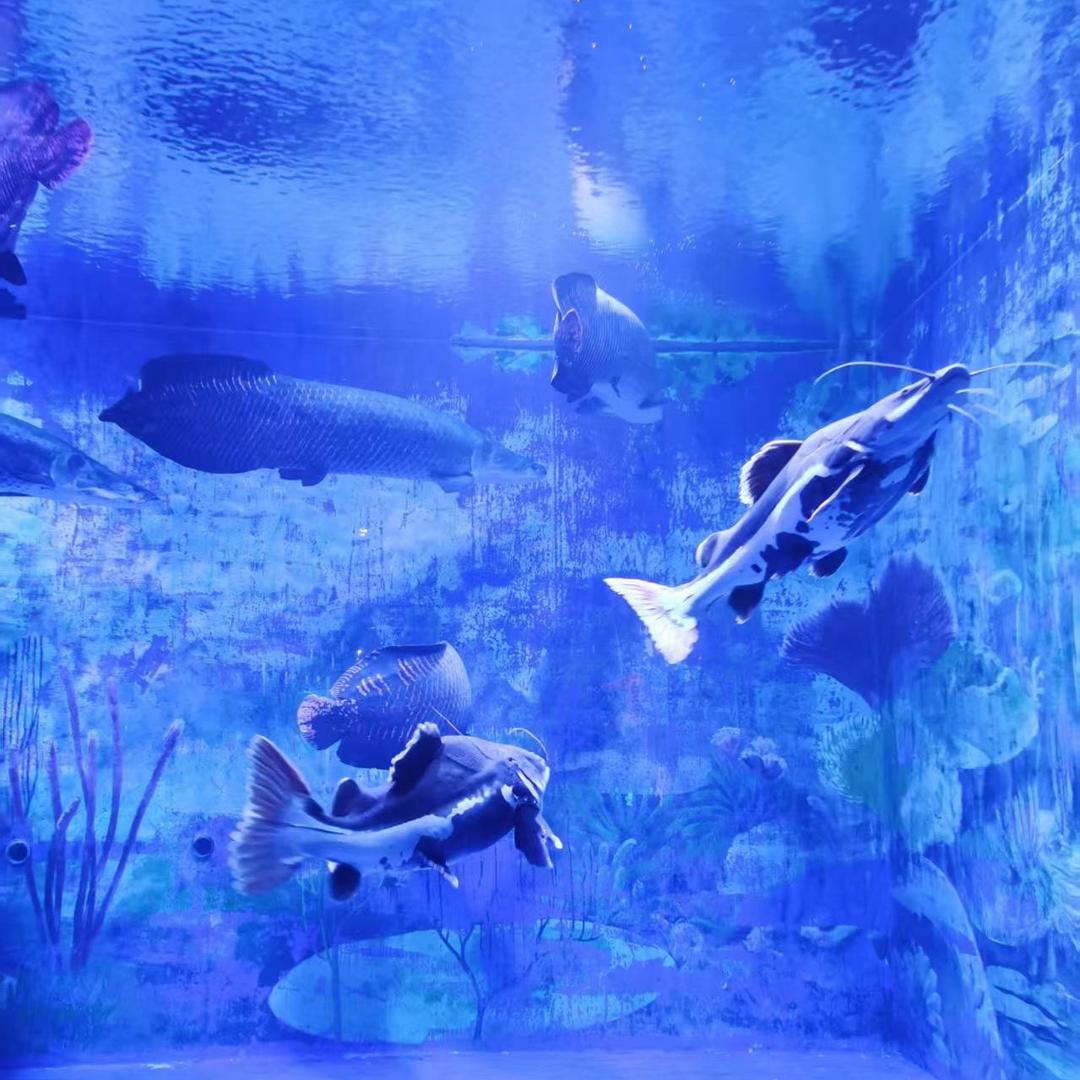 轻奢品牌清仓号