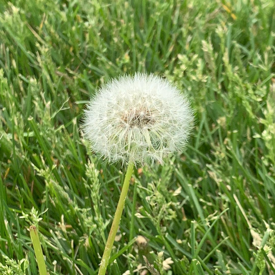 我和春天有个约会