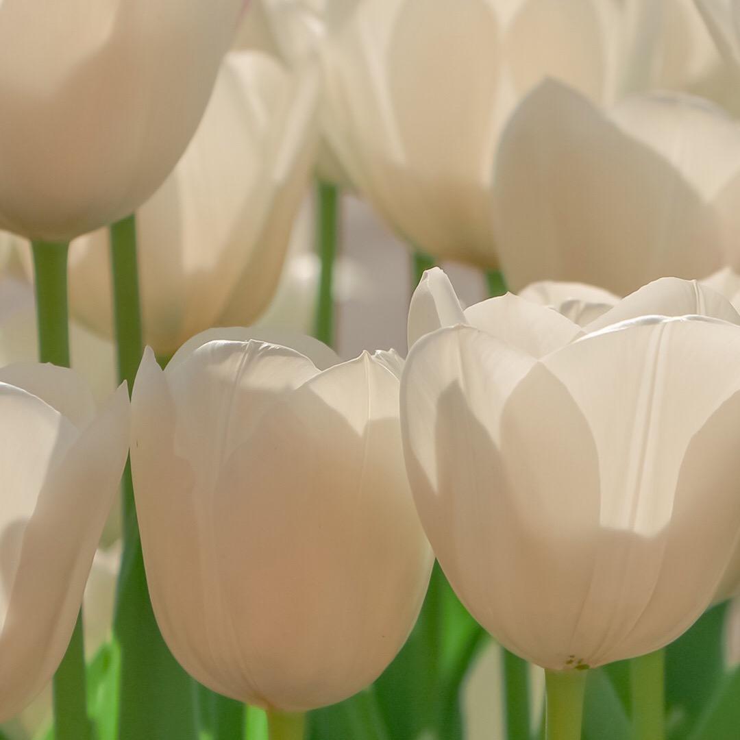 🦋我是可爱人🦋