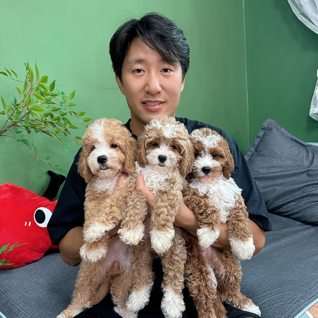 毛帅的可卡布