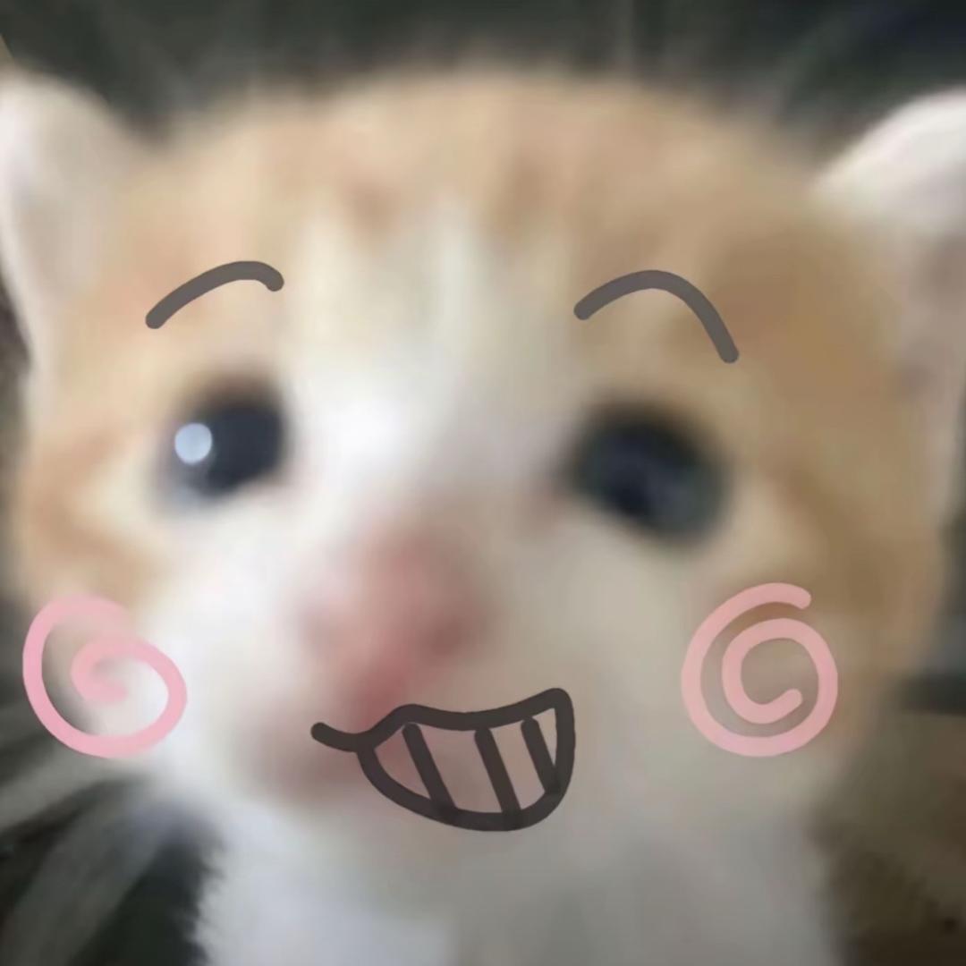 ㅤㅤ︋︋︋ㅤㅤ