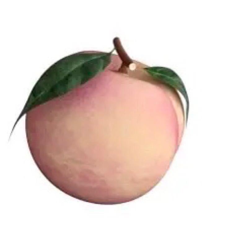 小羊九十九