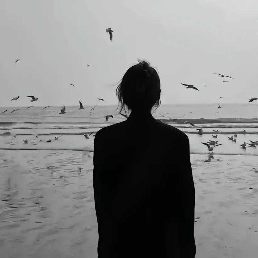 𝓥𝓮𝓽𝓸𝓿𝓪