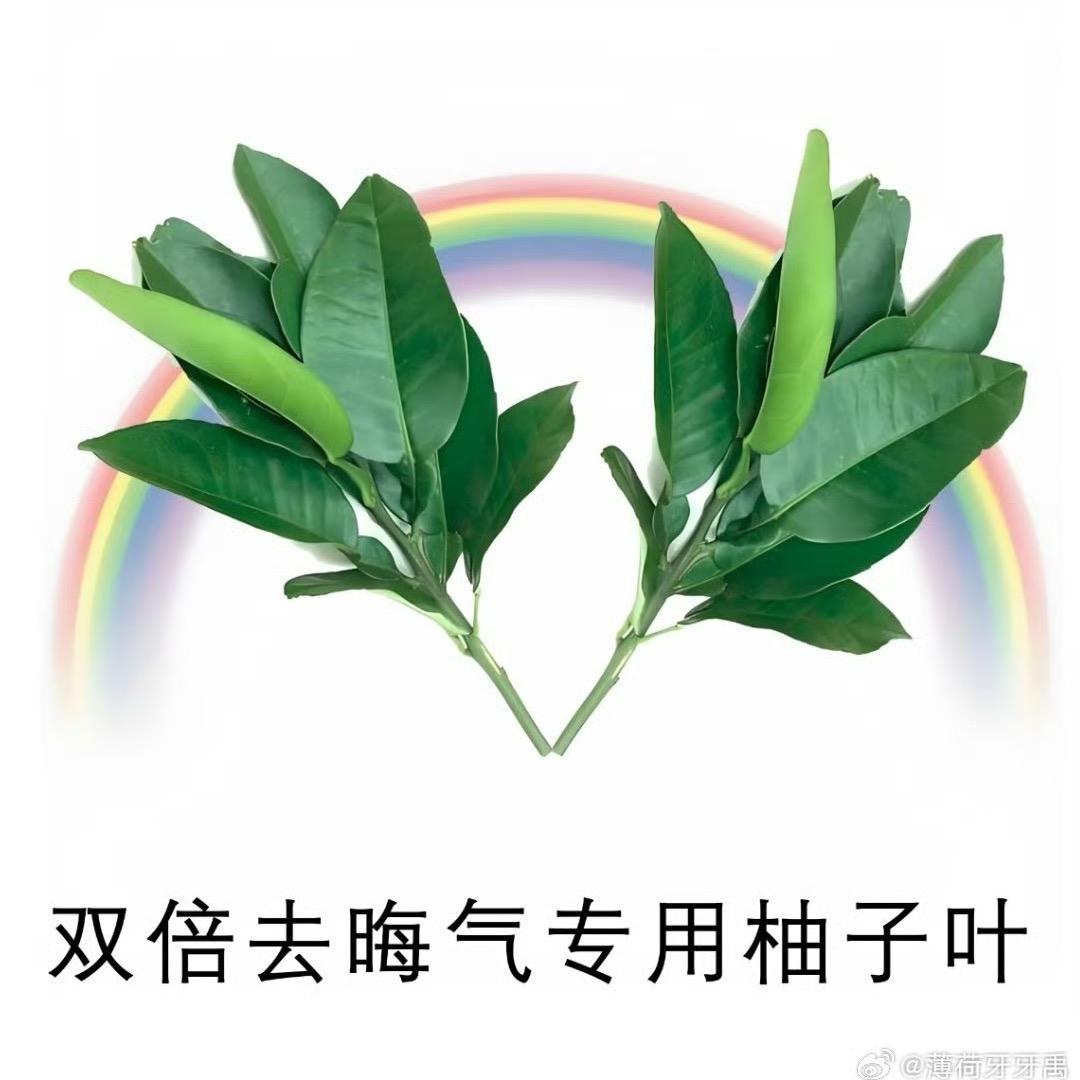 月月～