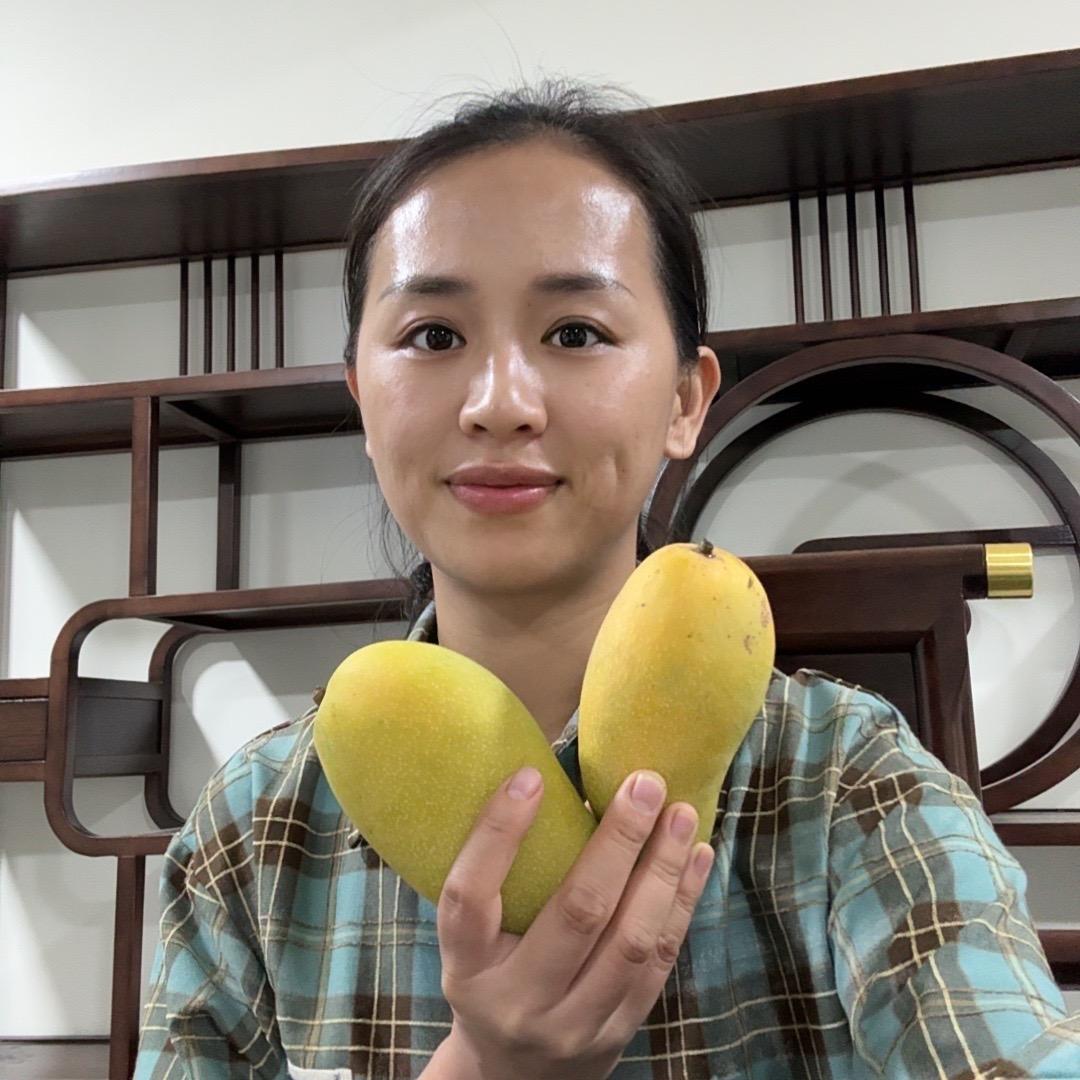 茂玲芒果在产地