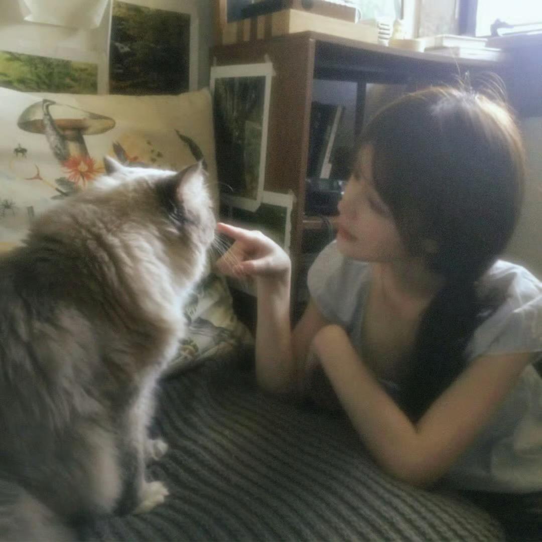 Jasmine味的小板黎🍐（无人籍版）