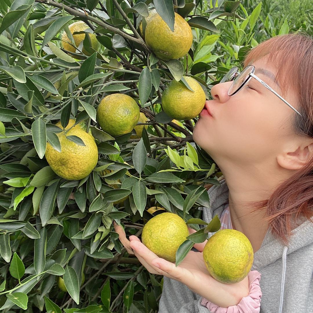 两蚊二（网名）新会茶坑柑（陈皮）
