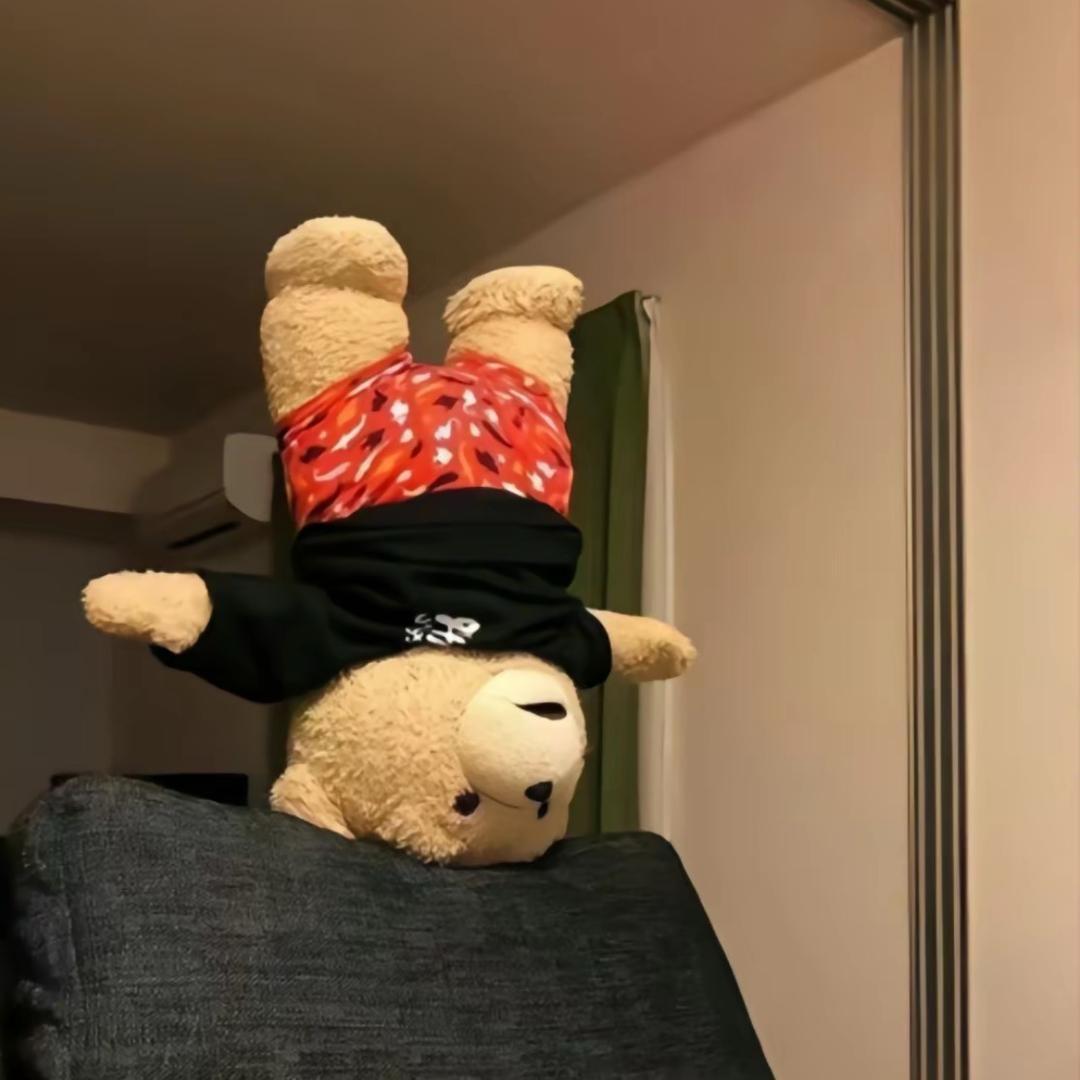 陈.