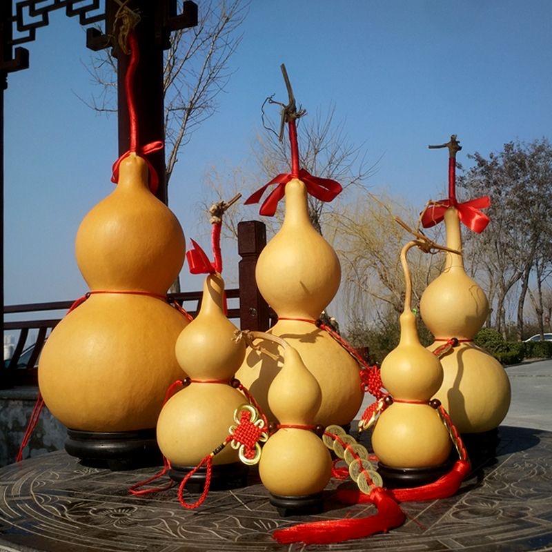 金枝玉叶疯狂者