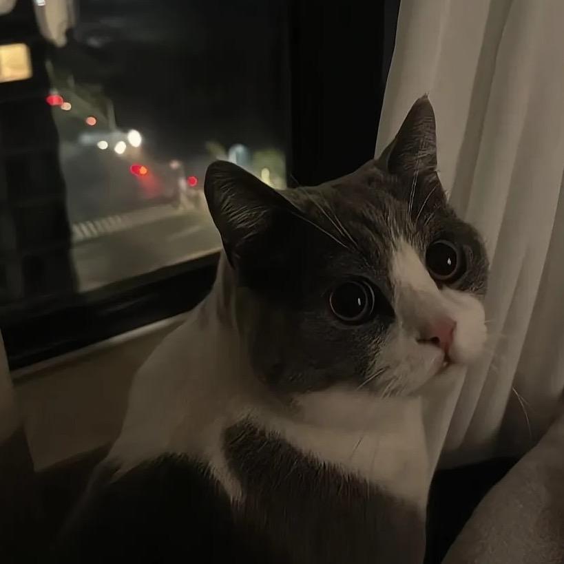 像被典韦开大劈过😳