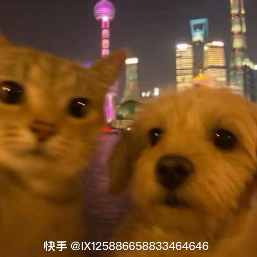 阿泽丫