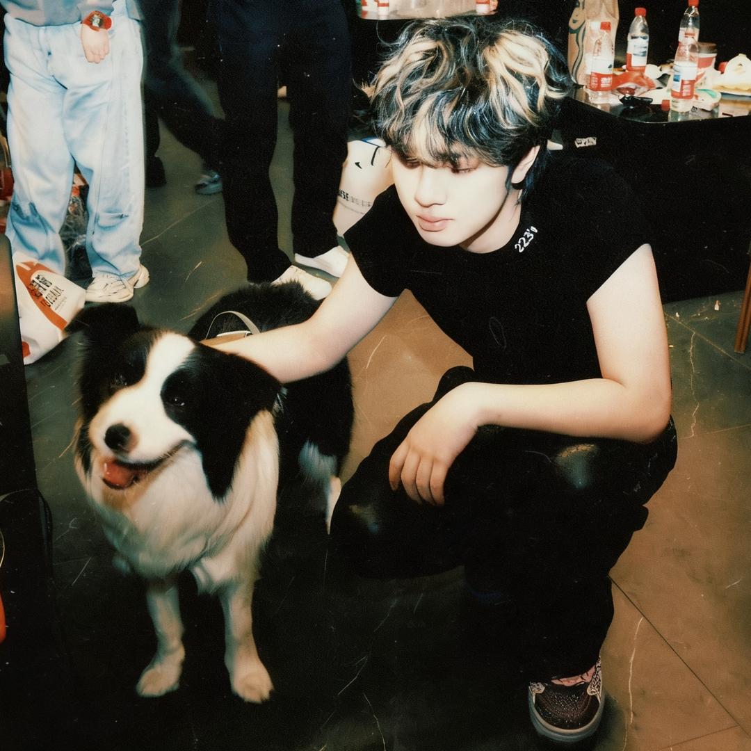 他们都说我有vibe