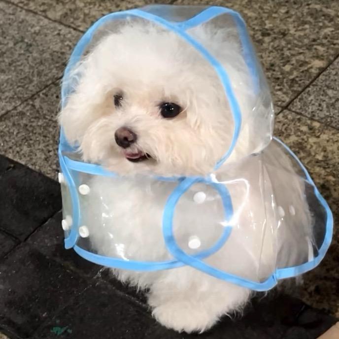 我叫zyx