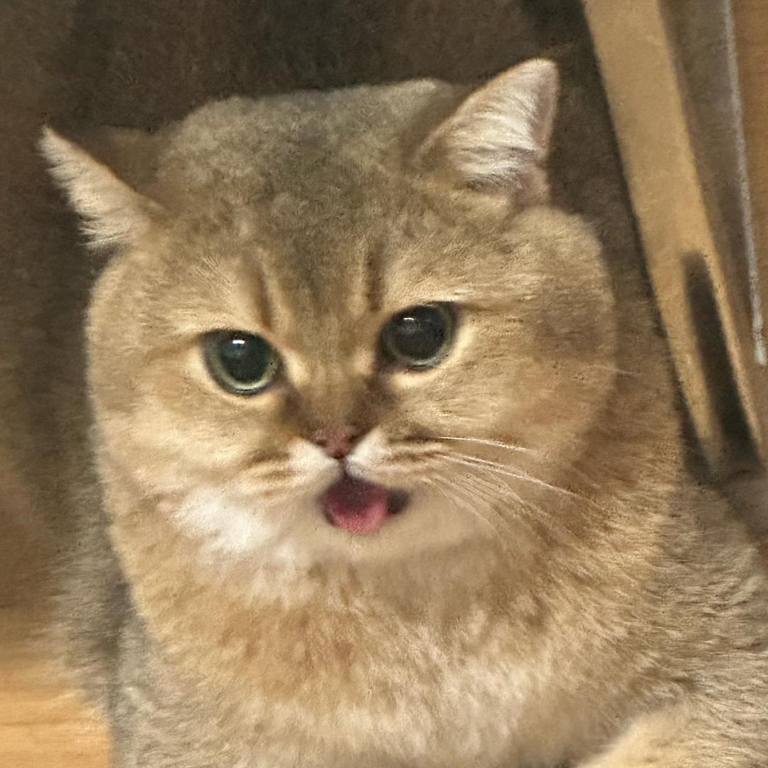 用户962749475