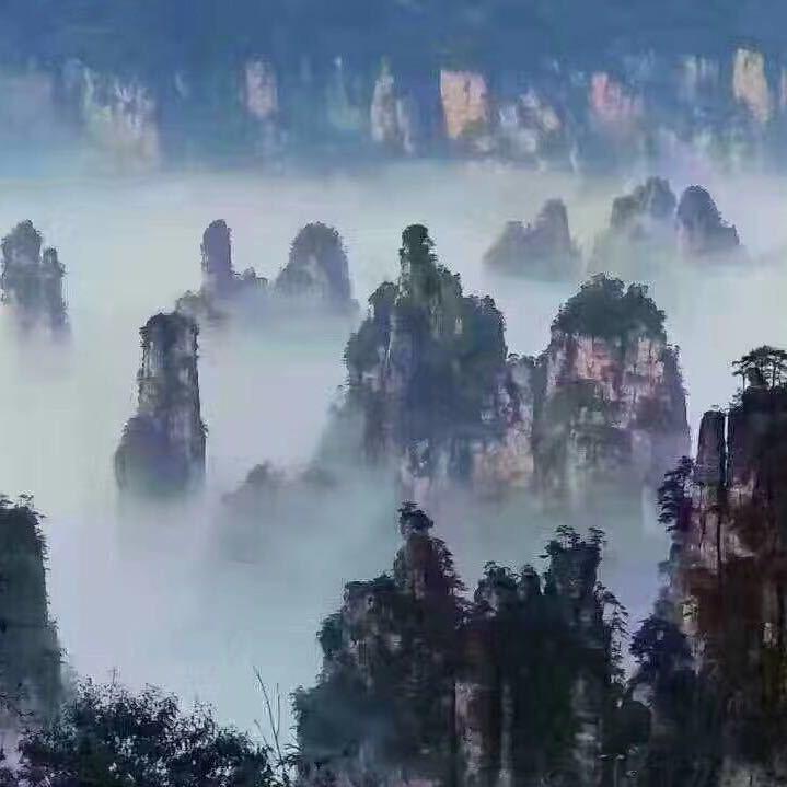 张家界地接导游