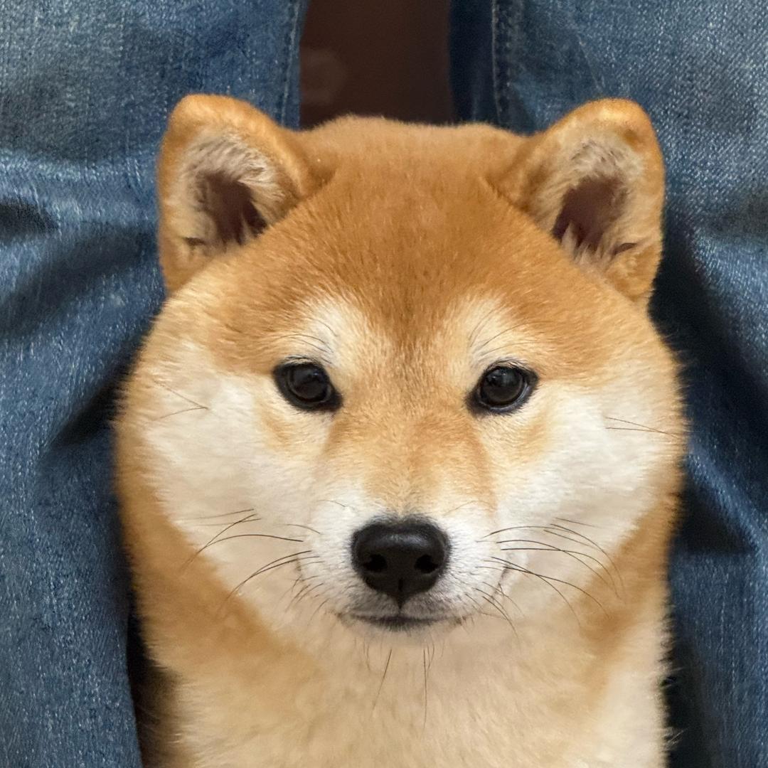 祁焕.