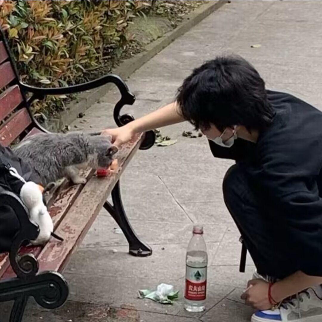 小新（补分拿框晋级赛）