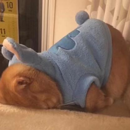 暮光