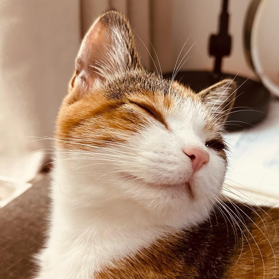 ゆきみ🩵