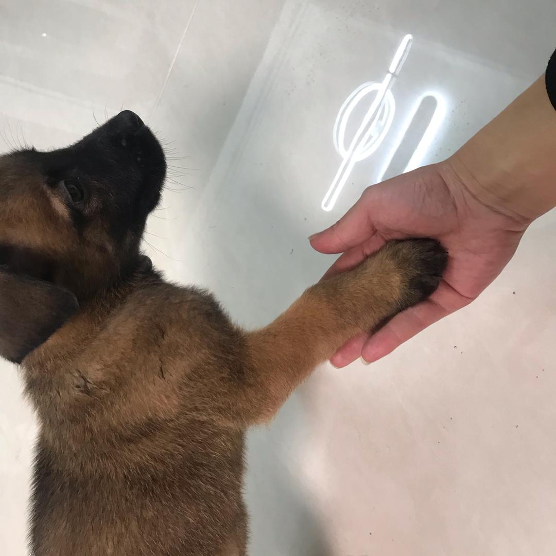 最有办法的男人