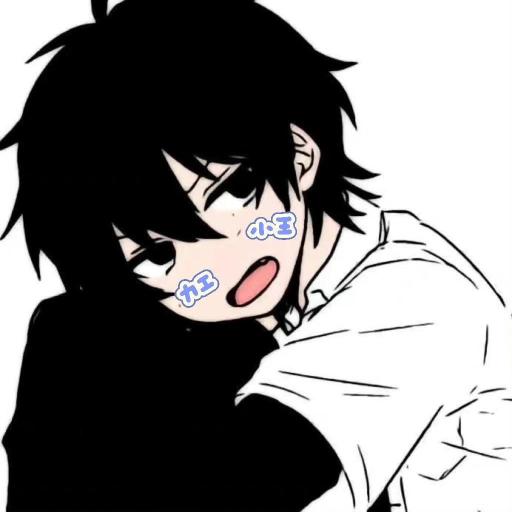 装机力工小王（电脑DIY）