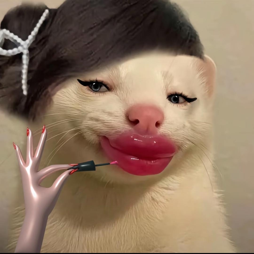 不打腮红只打哈欠