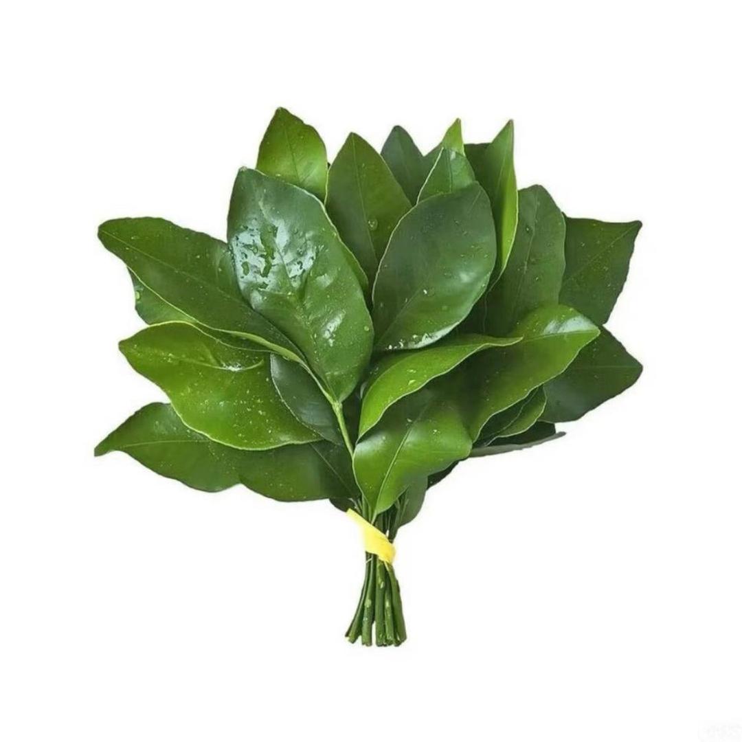 婷婷呀