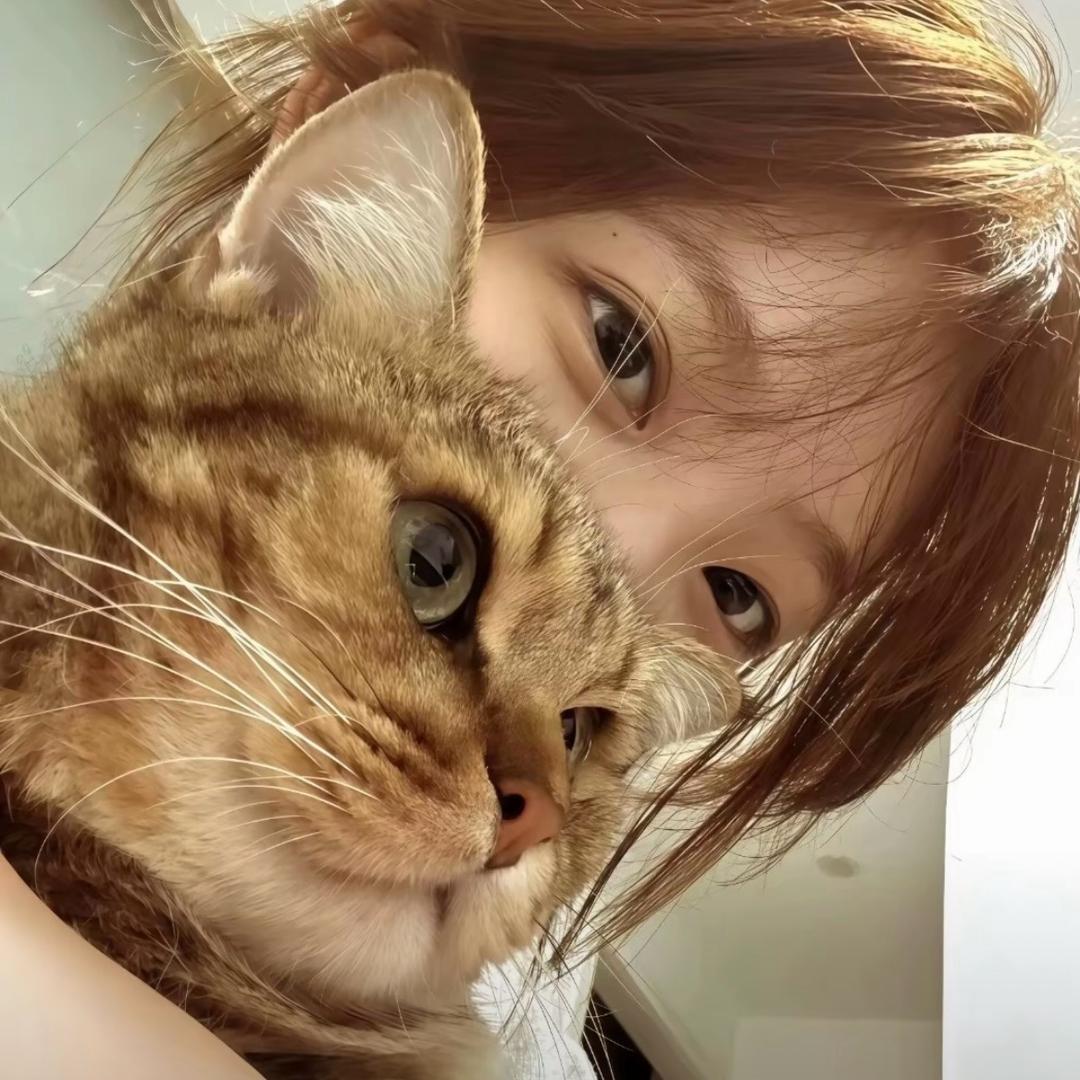蛋挞 🐾