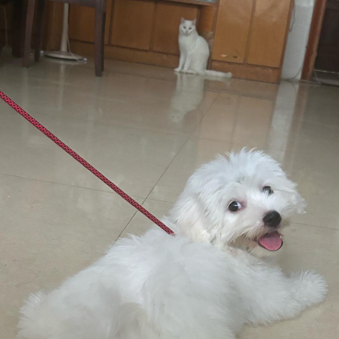 🌈 ᰔᩚ᭄多财多亿ღ᭄