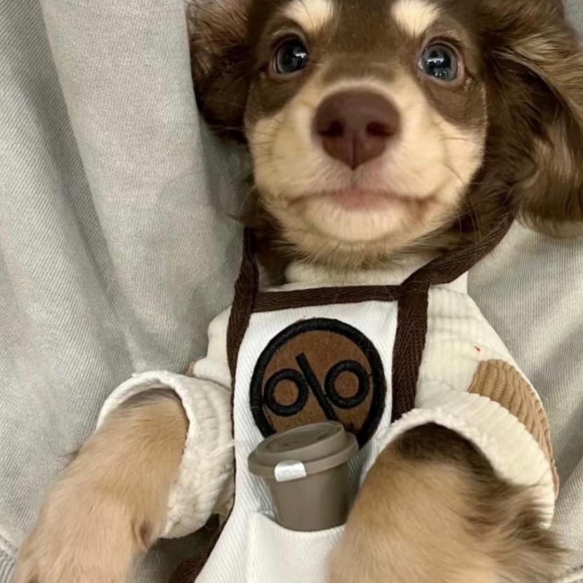 Nini