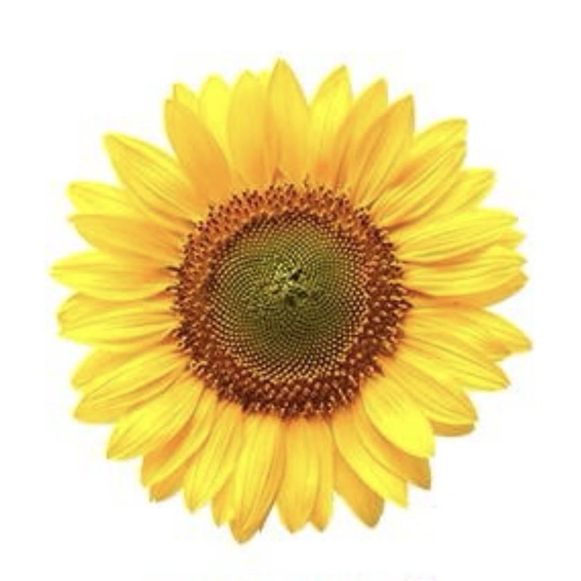 葵花睿与涵身体护理专卖店2号