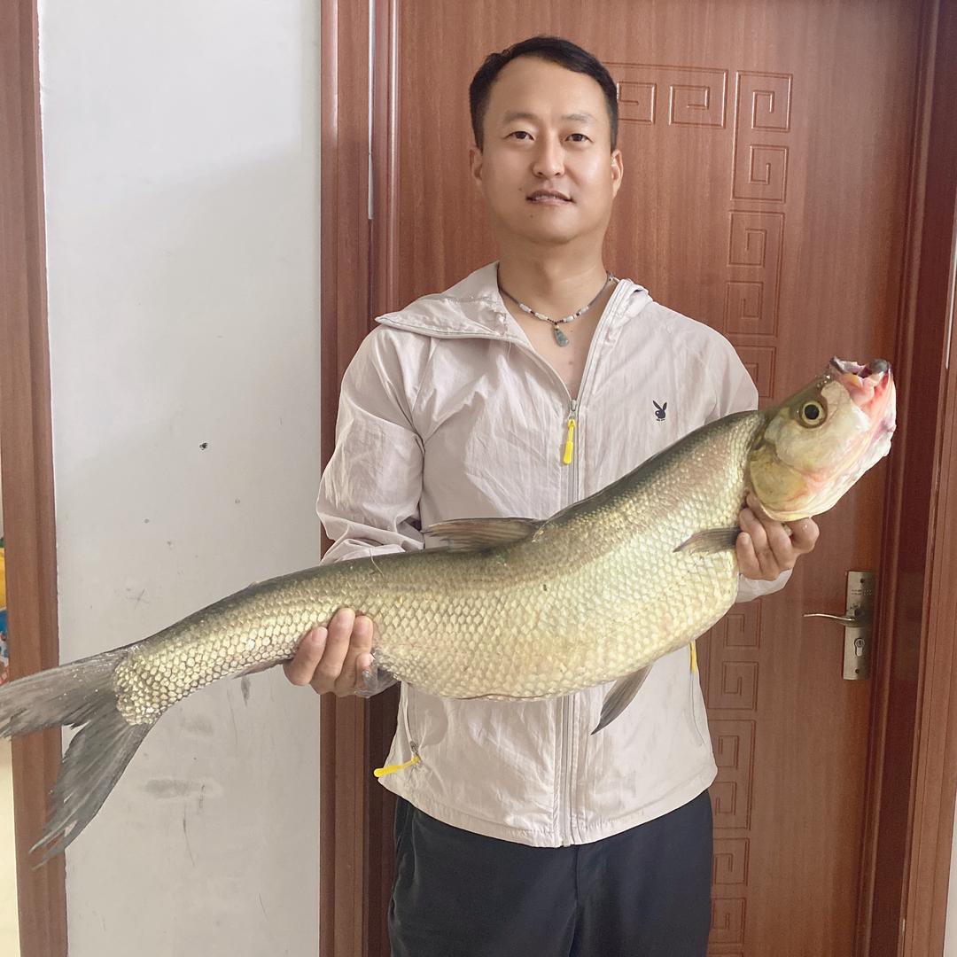 杨哥钓鱼